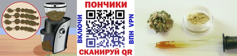 купить   MEGA маркетплейс  Cannafood конопля  Дивногорск 