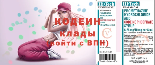 МДПВ Вяземский