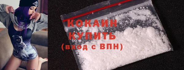 МДПВ Вяземский