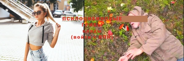 МДПВ Вяземский